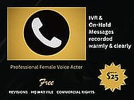 Get the message: voiceovers done clearly and quickly. Banner Image